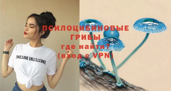 СК Зеленодольск