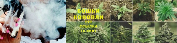 амф Зеленокумск