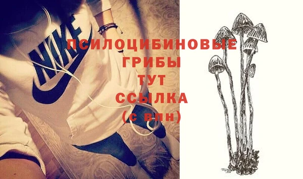 гидропоника Зерноград