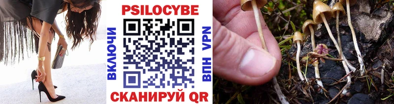 Псилоцибиновые грибы Psilocybine cubensis  гидра зеркало  Лянтор 